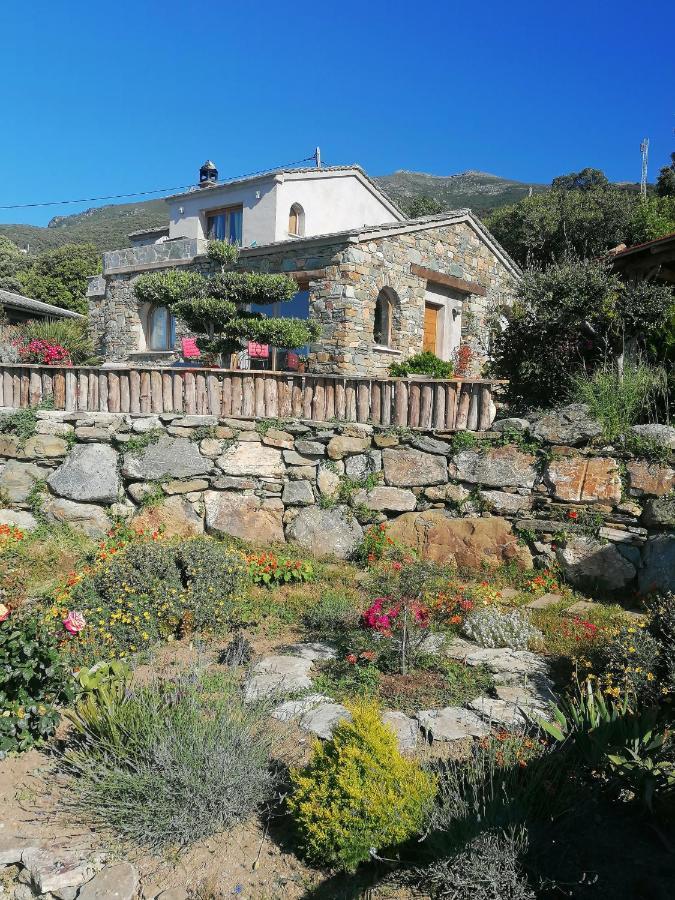 RDC dans une Maison de charme avec piscine Pino Extérieur photo