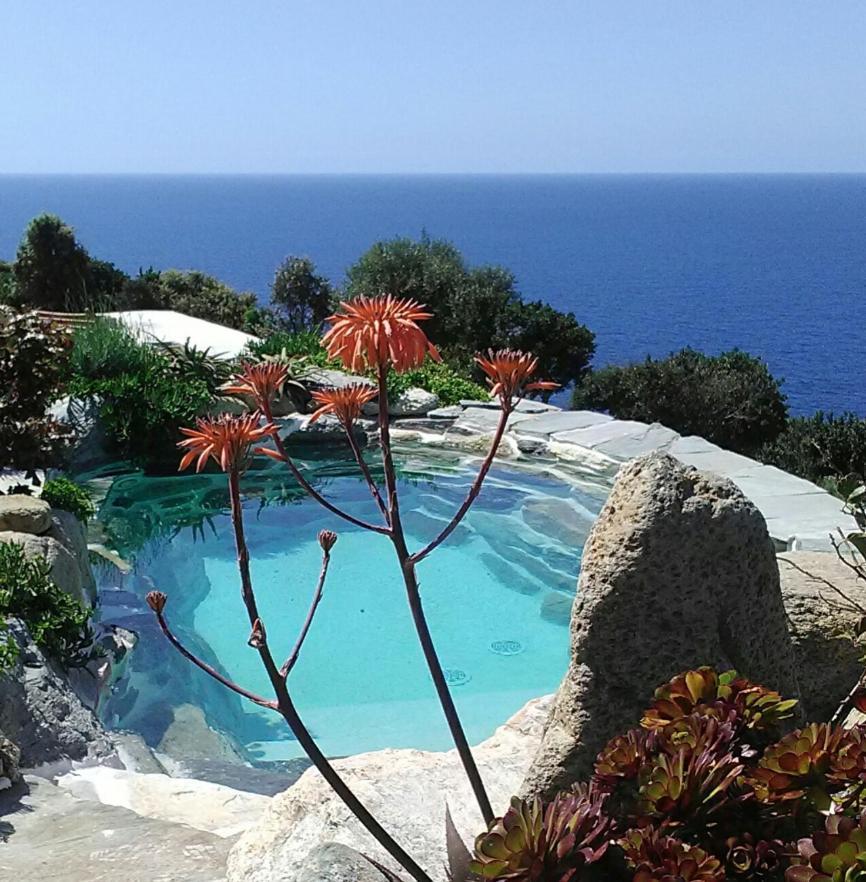 RDC dans une Maison de charme avec piscine Pino Extérieur photo