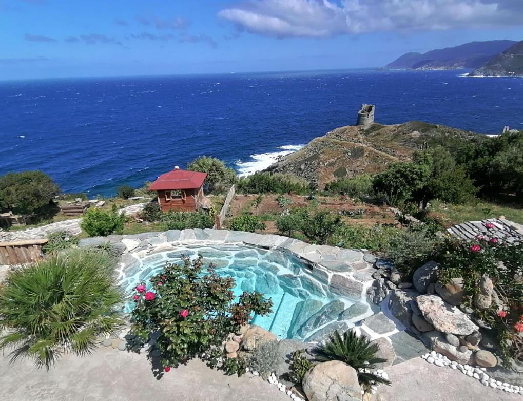 RDC dans une Maison de charme avec piscine Pino Extérieur photo