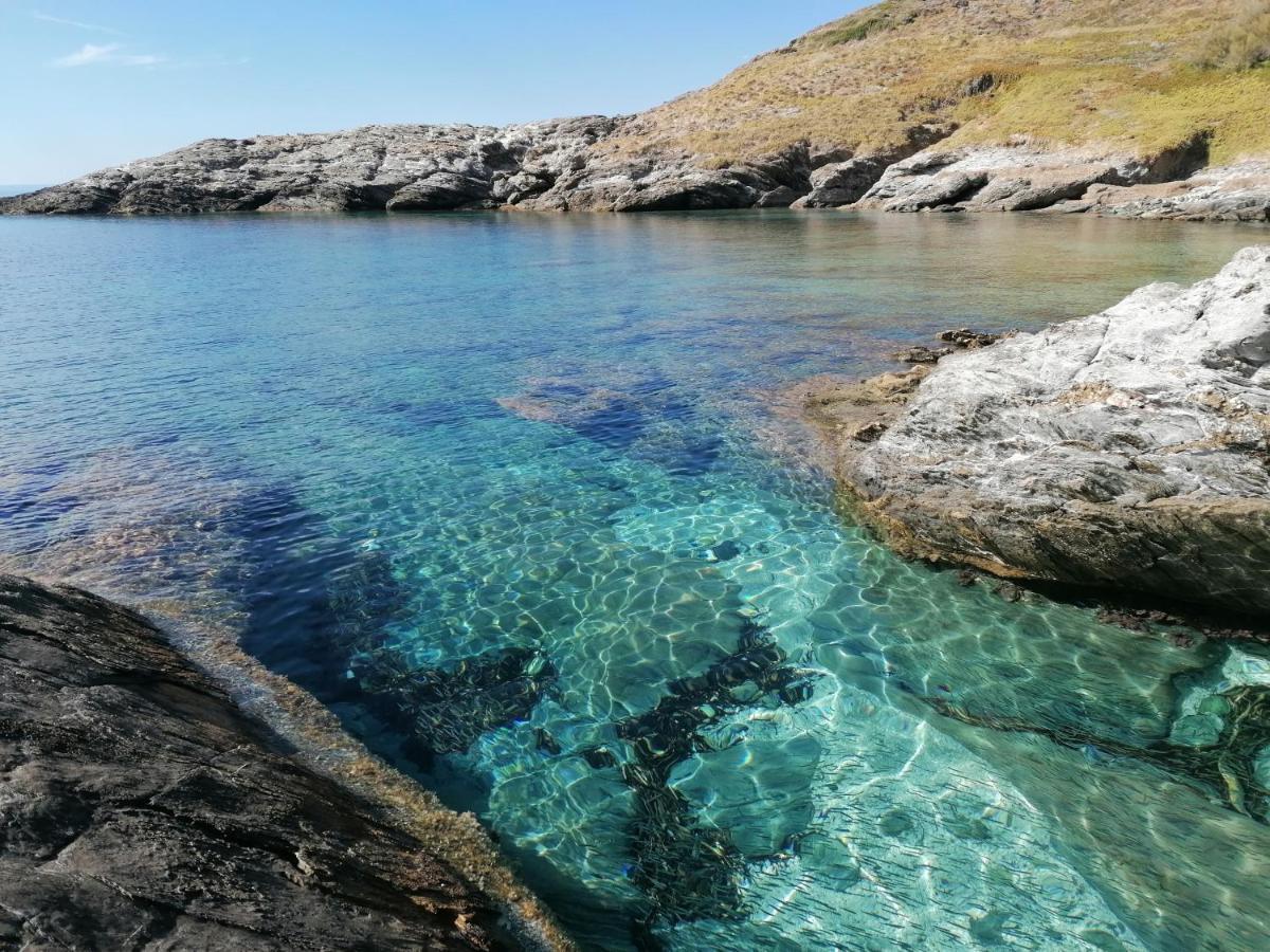RDC dans une Maison de charme avec piscine Pino Extérieur photo