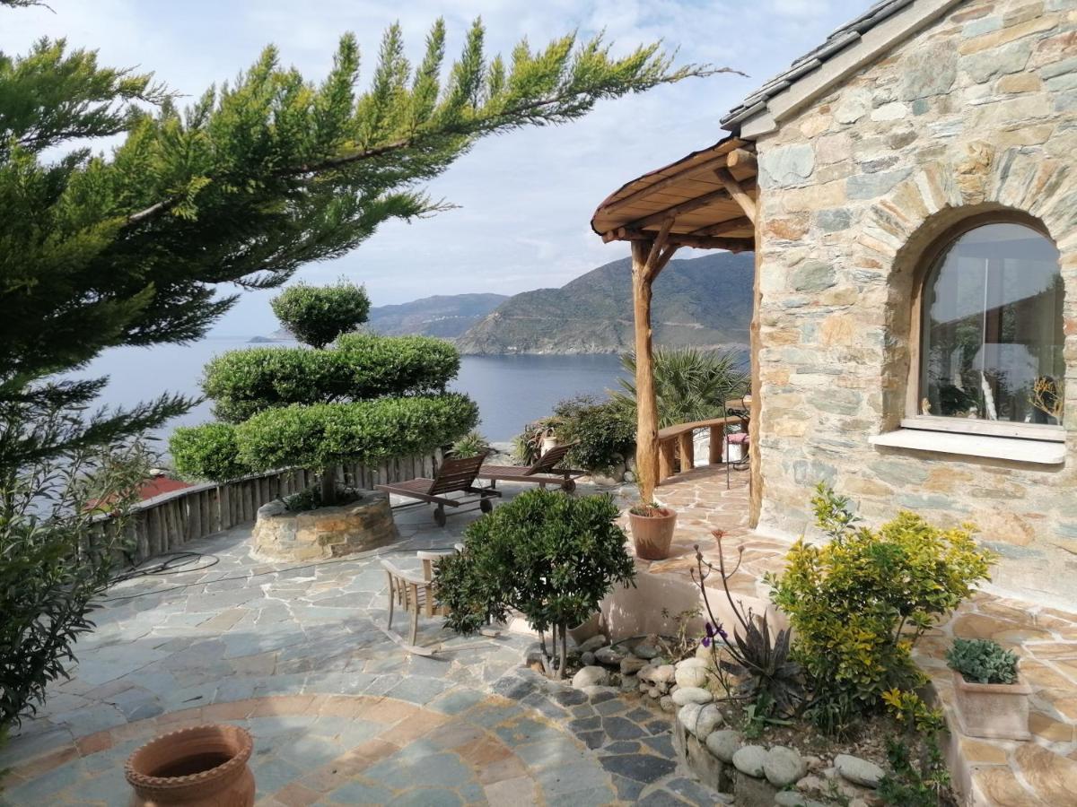 RDC dans une Maison de charme avec piscine Pino Extérieur photo