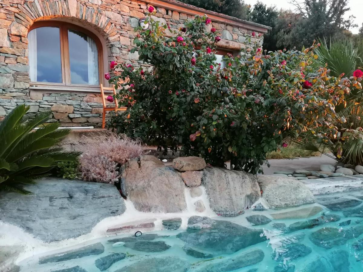 RDC dans une Maison de charme avec piscine Pino Extérieur photo