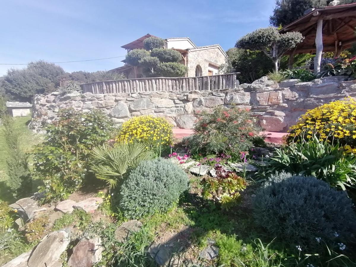 RDC dans une Maison de charme avec piscine Pino Extérieur photo