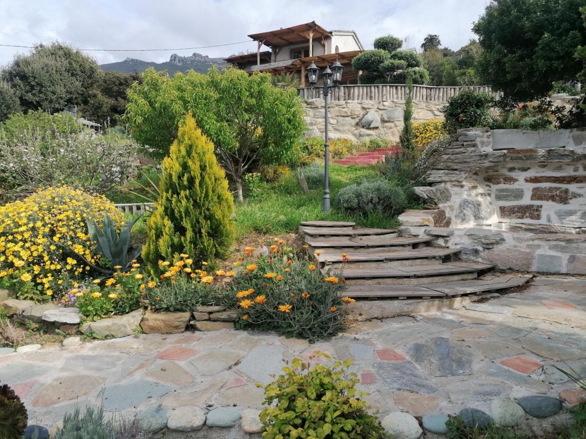 RDC dans une Maison de charme avec piscine Pino Extérieur photo