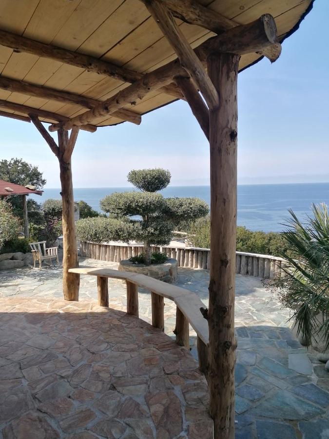 RDC dans une Maison de charme avec piscine Pino Extérieur photo